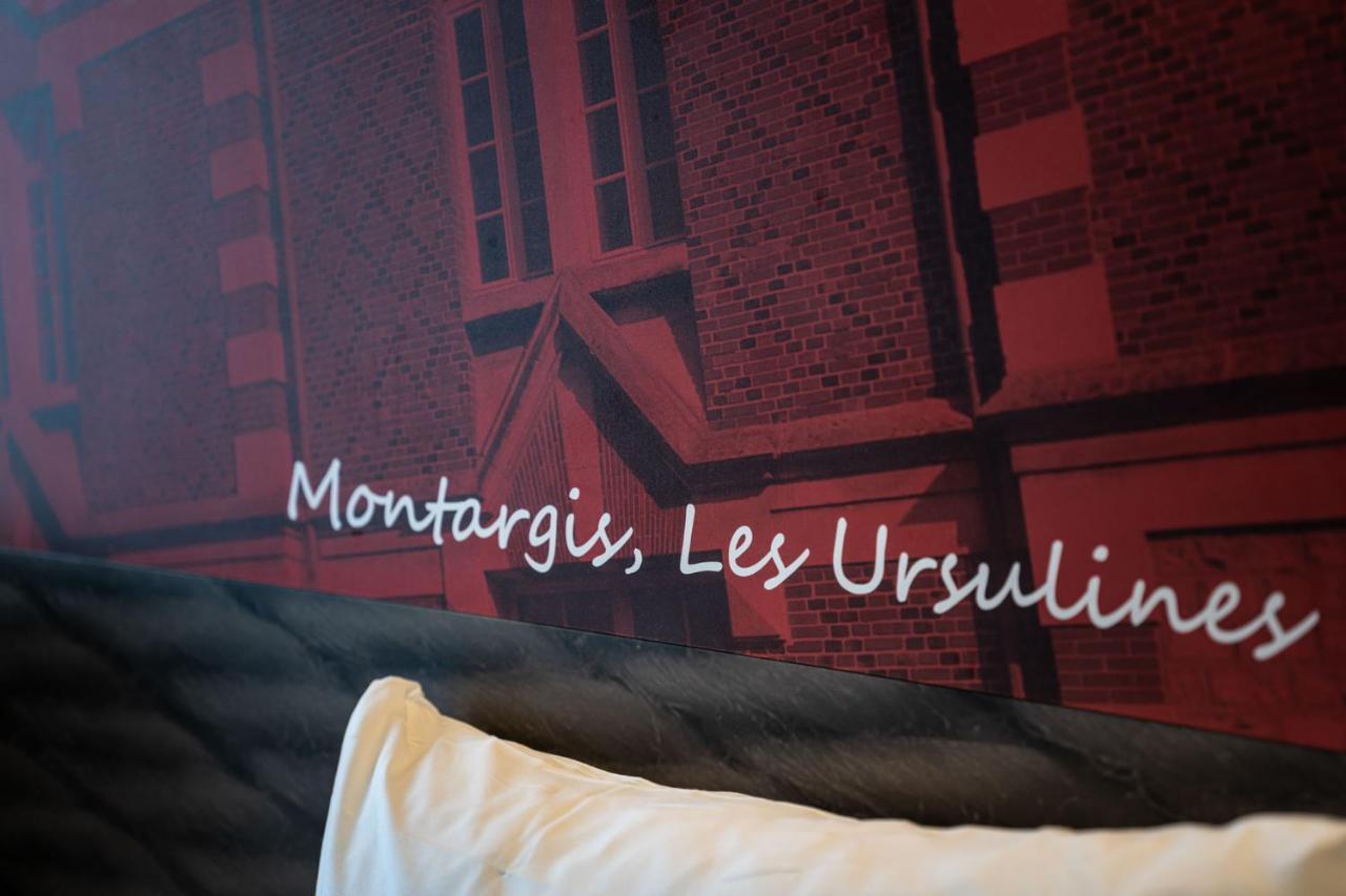 Hotel Ibis Montargis Exteriér fotografie